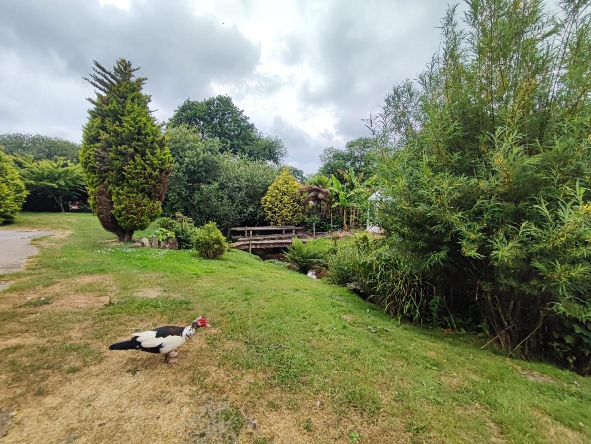 Tree Fern Barn Villa St. Austell Exterior photo